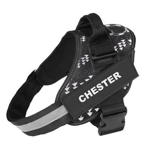 TrailTail Harness Vest
